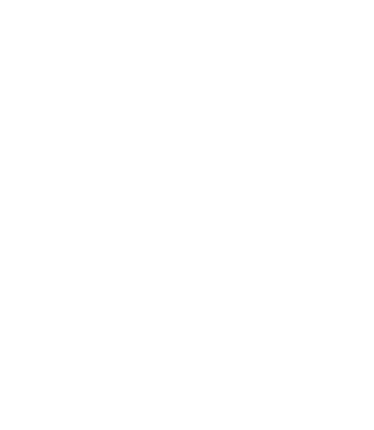 gemini symbol